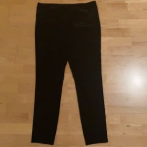 WHBM Velvet Legging